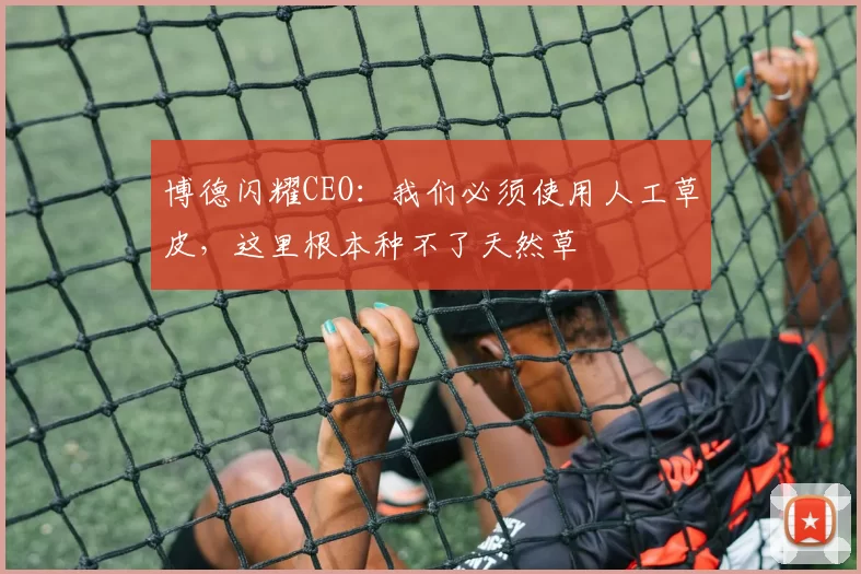 博德闪耀CEO：我们必须使用人工草皮，这里根本种不了天然草