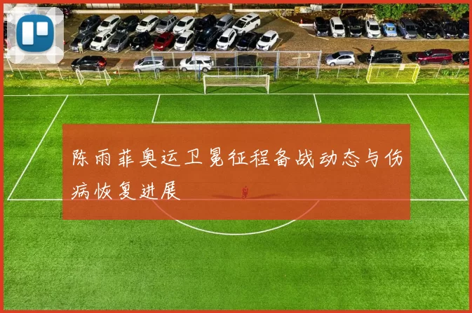 陈雨菲奥运卫冕征程备战动态与伤病恢复进展