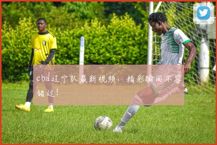 cba辽宁队最新视频，精彩瞬间不容错过！